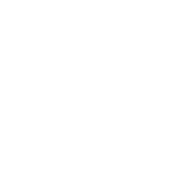 Port Adelaide FC